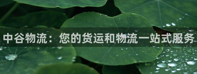 28圈登陆网：中谷物流：您的货运和物