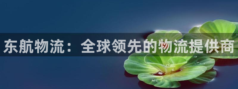28圈官网多少