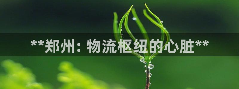 28圈.ccm南宫：**郑州: 物流