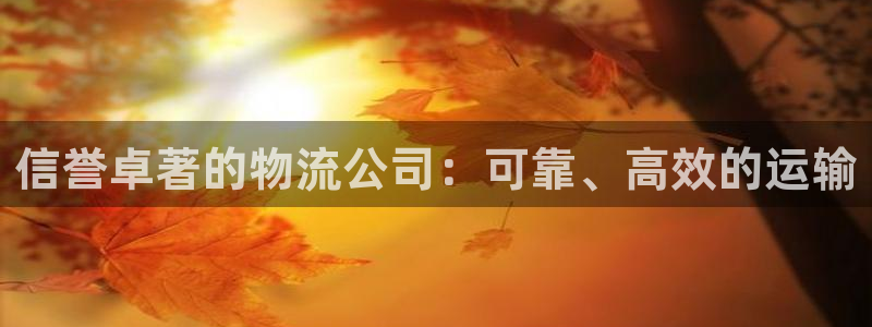 28圈注册上限是啥意思：信誉卓著的物