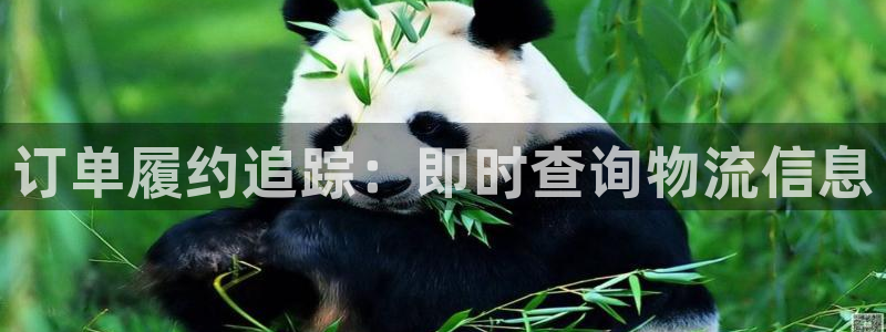 28圈pg麻将胡了：订单履约追踪：即