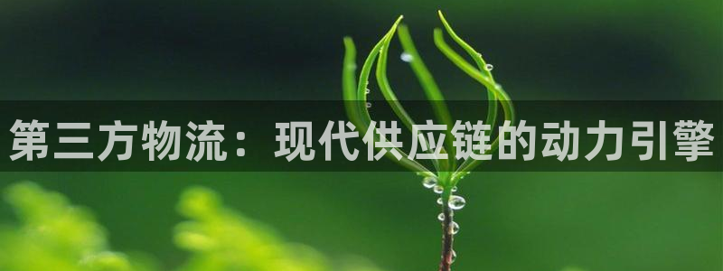 28圈官网注册：第三方物流：现代供应