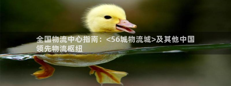 28圈赌博被抓：全国物流中心指南：<