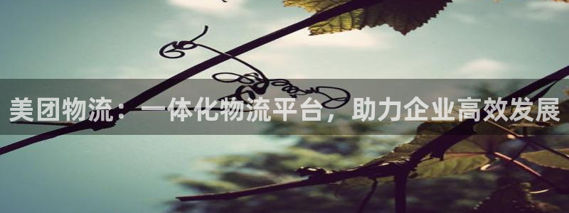 28圈赌博软件正规吗：美团物流：一体