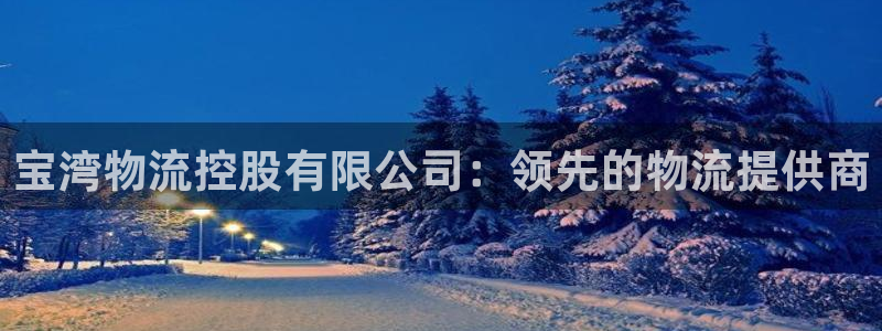 南宫28圈官网版：宝湾物流控股有限公司：领先的物流提供商