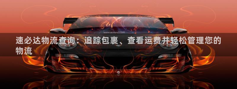 28圈cn：速必达物流查询：追踪包裹