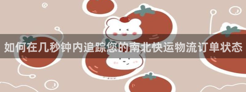 28圈链接：如何在几秒钟内追踪您的南北快运物流订单状态