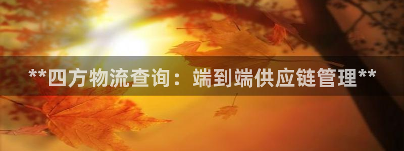28圈预测网：**四方物流查询：端到端供应链管理**