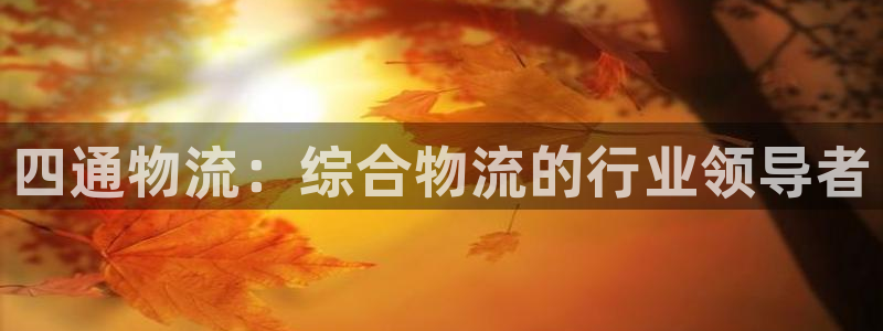 28圈注册网址：四通物流：综合物流的