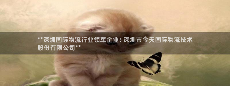 28圈下载二维码：**深圳国际物流行