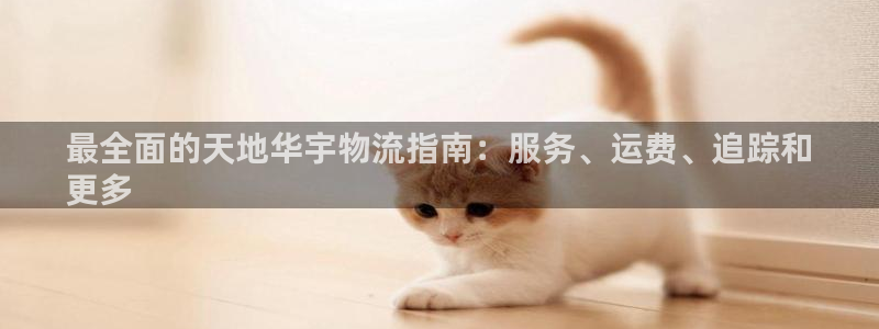 28圈比特28预测在线预测：最全面的
