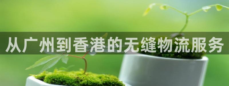 28圈怎么下载教程：从广州到香港的无