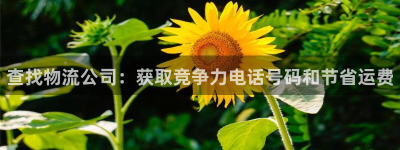 28圈.ccmpc是诈骗吗?：查找物