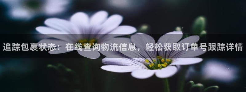28圈注册账号：追踪包裹状态：在线查