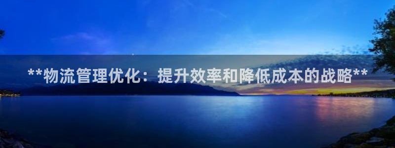 28圈登录网：**物流管理优化：提升