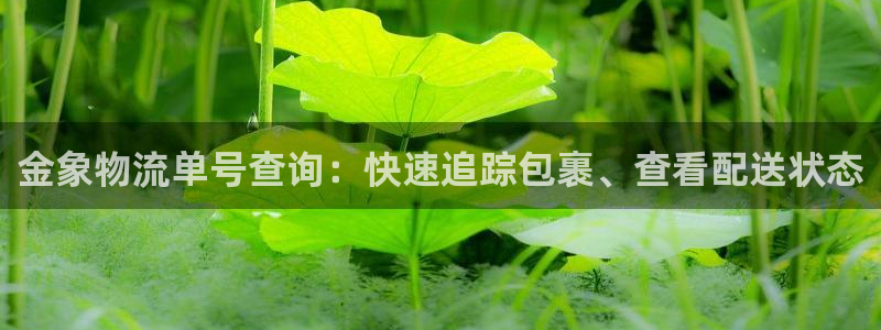28圈软件总是闪退怎么回事：金象物流