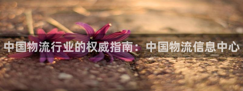 28圈娱乐官网网页：中国物流行业的权威指南：中国物流信息中心