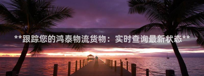 自行车28圈是什么意思：**跟踪您的鸿泰物流货物：实时查询最