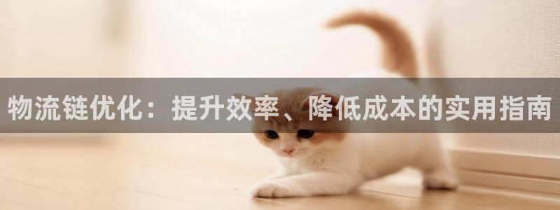 28圈注册网址百度知道：物流链优化：