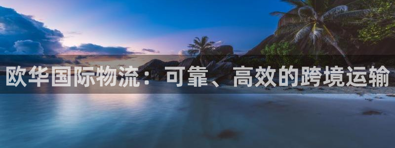 28圈系统自动保护：欧华国际物流：可