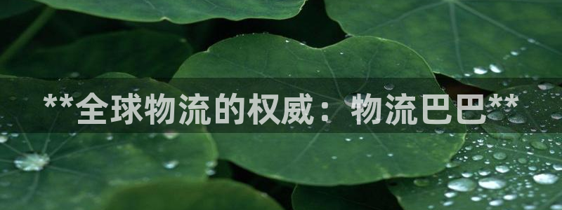 28圈官网下载链接是什么网站：**全