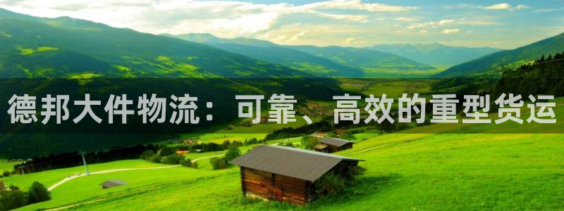 28圈模拟器在线使用：德邦大件物流：