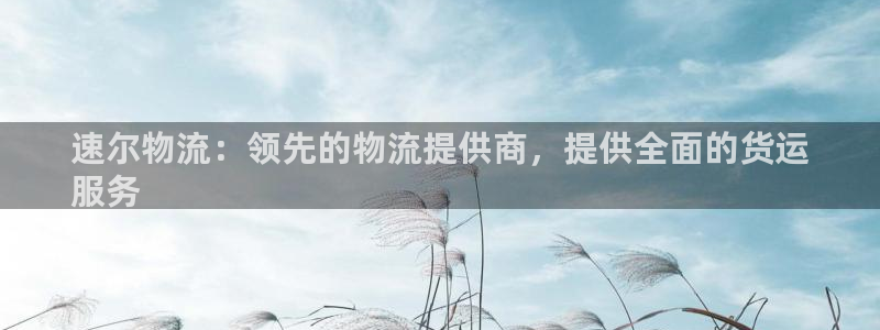 28圈登录用户名登录不上：速尔物流：领先的物流提供商，提供全