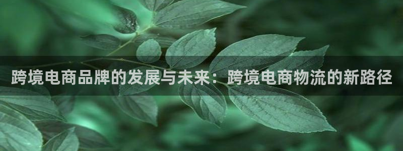 28圈百度百科