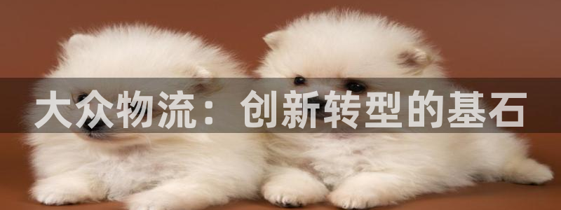 28圈反水什么时候到