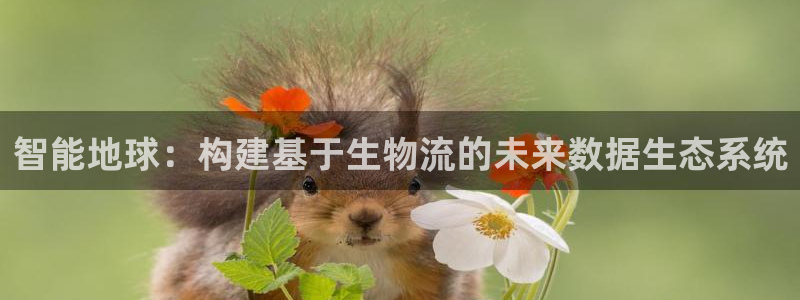 28圈.ccmpc正版