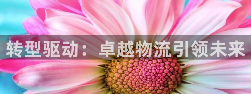 28圈充值不到账怎么办