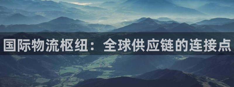 28圈网赌案件