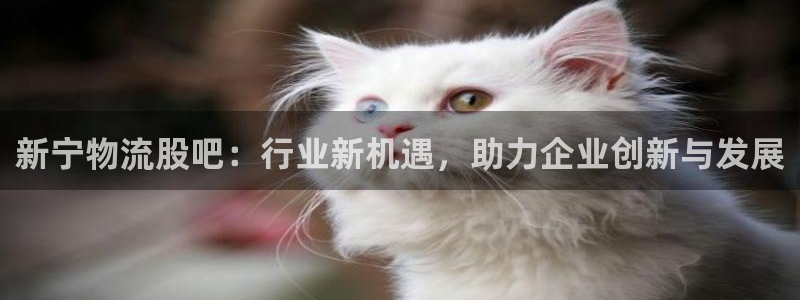 28圈免费充钱