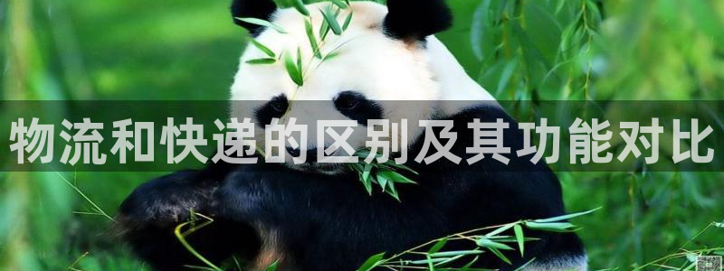 加拿大28圈数字规则