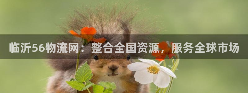 28圈麻将胡了
