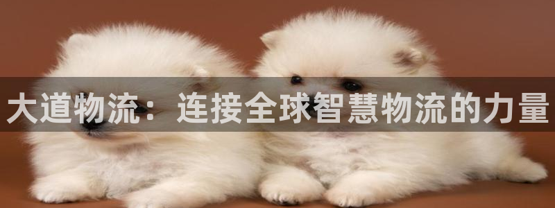 28圈如何看计划：大道物流：连接全球