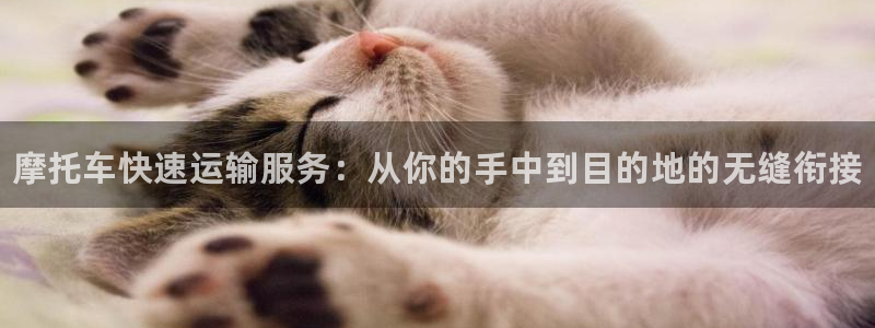 28圈技巧：摩托车快速运输服务：从你