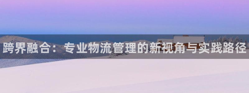 28圈口：跨界融合：专业物流管理的新