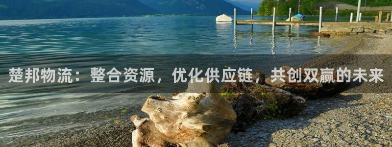 28圈绿骨头:楚邦物流:整合资源,优