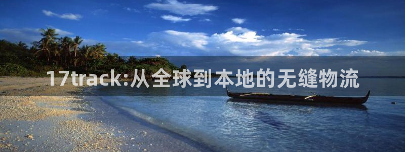 28圈预测：17track:从全球到