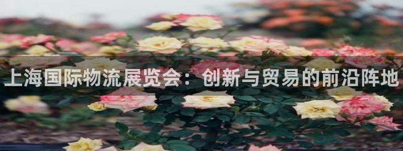 28圈加拿大28：上海国际物流展览会