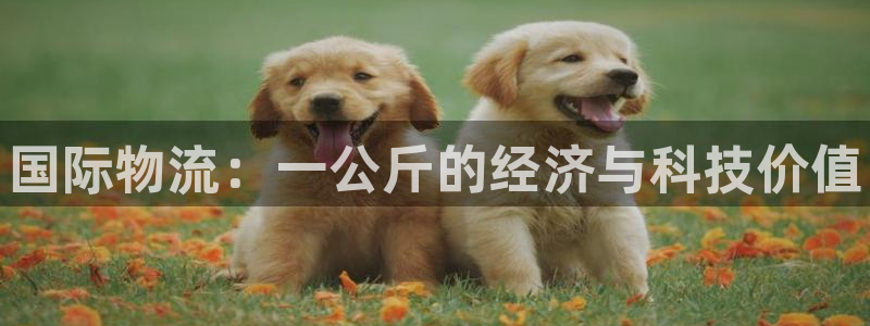 28圈麻将胡了爆分视频：国际物流：一