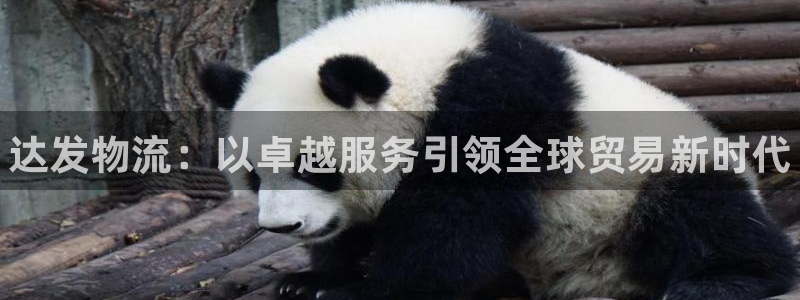 28圈昵称：达发物流：以卓越服务引领