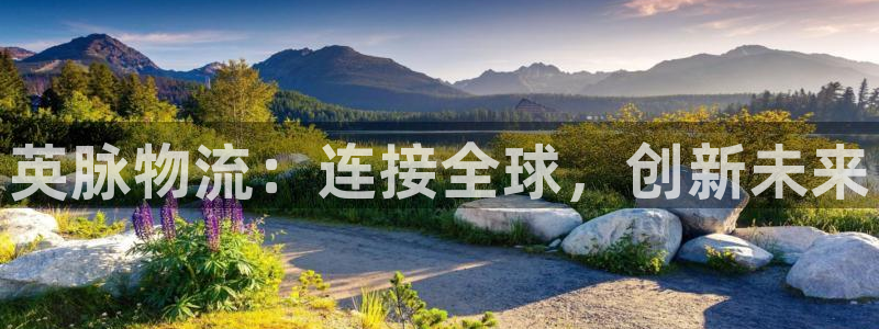 28圈注册与教程：英脉物流：连接全球