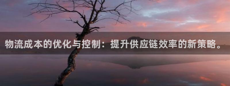 28圈官网下载链接是什么：物流成本的