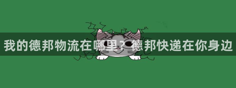 28圈.ccmpc正版：我的德邦物流