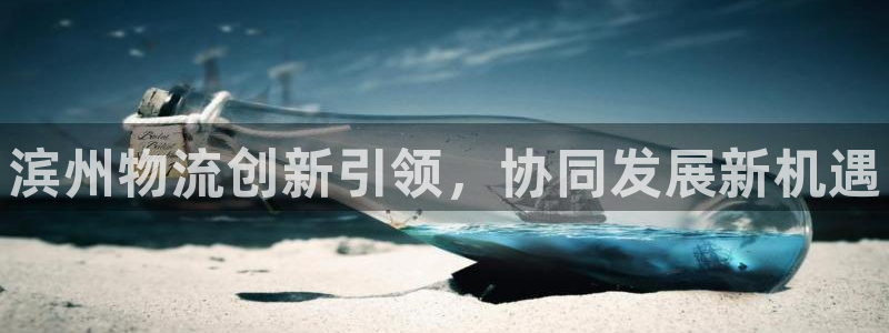 28圈充值不到账：滨州物流创新引领，