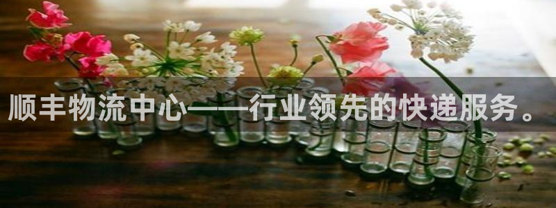 28圈.ccmpc预测：顺丰物流中心