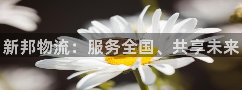28圈是什么软件：新邦物流：服务全国