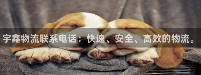 28圈加拿大下载：宇鑫物流联系电话：